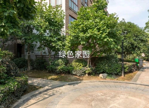 紹興市綠澤家園房產(chǎn)信息咨詢服務(wù)部 您的專(zhuān)業(yè)房產(chǎn)信息咨詢伙伴